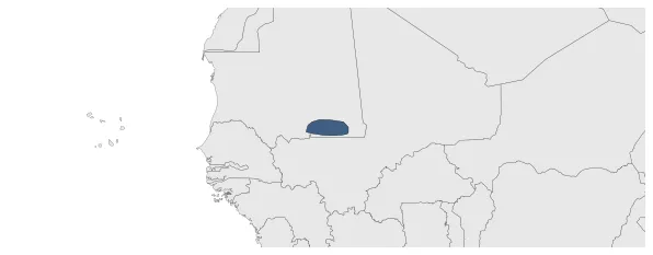 Maximum Extent